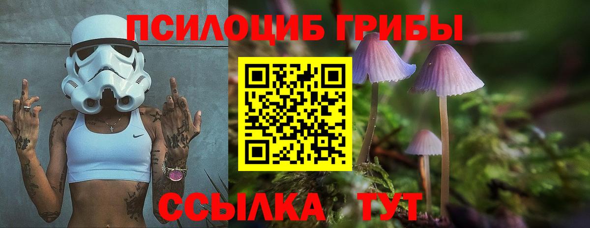 Галлюциногенные грибы мухоморы  Вход с VPN  Псилоцибиновые грибы прущие грибы  Димитровград 